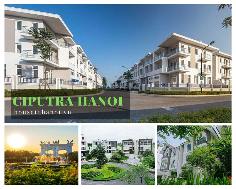 biệt thự ciputra