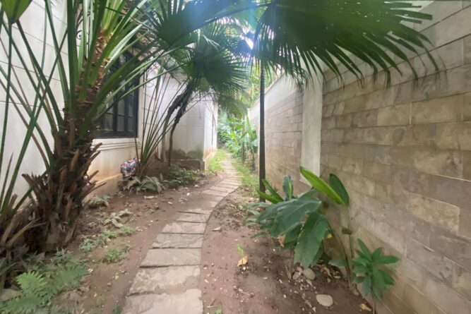 ban biet thu to duong doi khu d2 ciputra 8 scaled