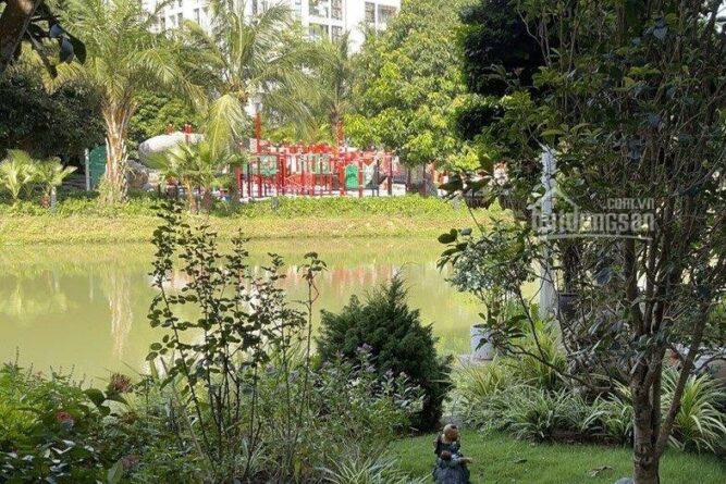 bán biệt thự hoa sữa giá rẻ 11