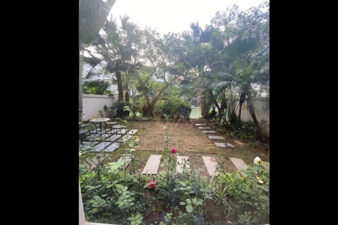 bán biệt thự hoa sữa giá rẻ 6