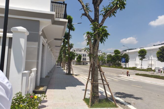 ban shophouse pg 25 vincom thai hoa 6