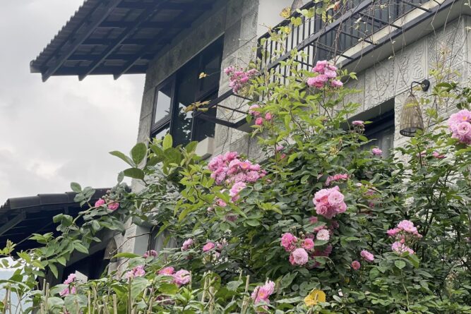 cho thuê khu homestay nhỉ dưỡng lương sơn hòa bình (18)